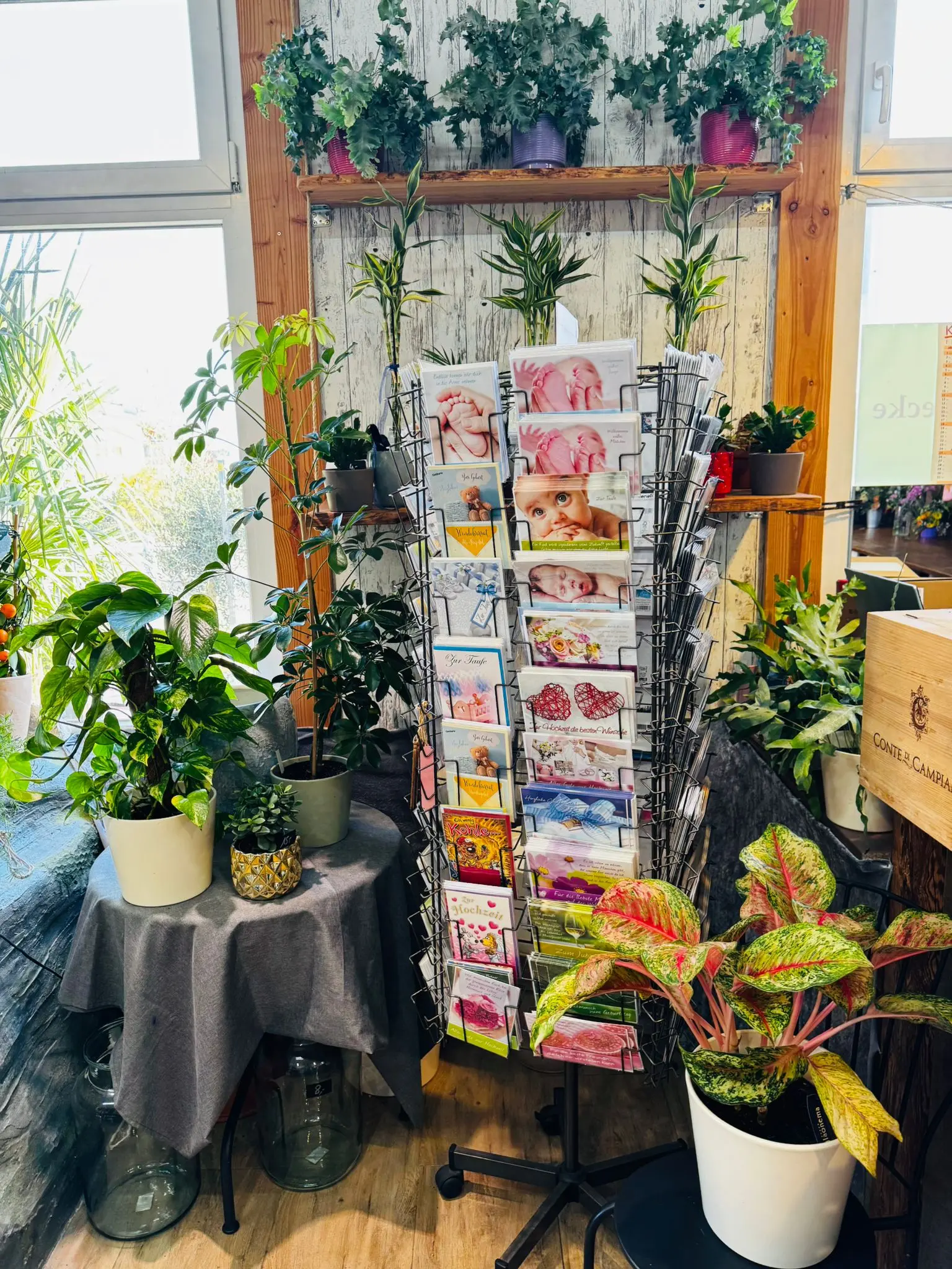 blumenladen-augsburg-neusaess-1