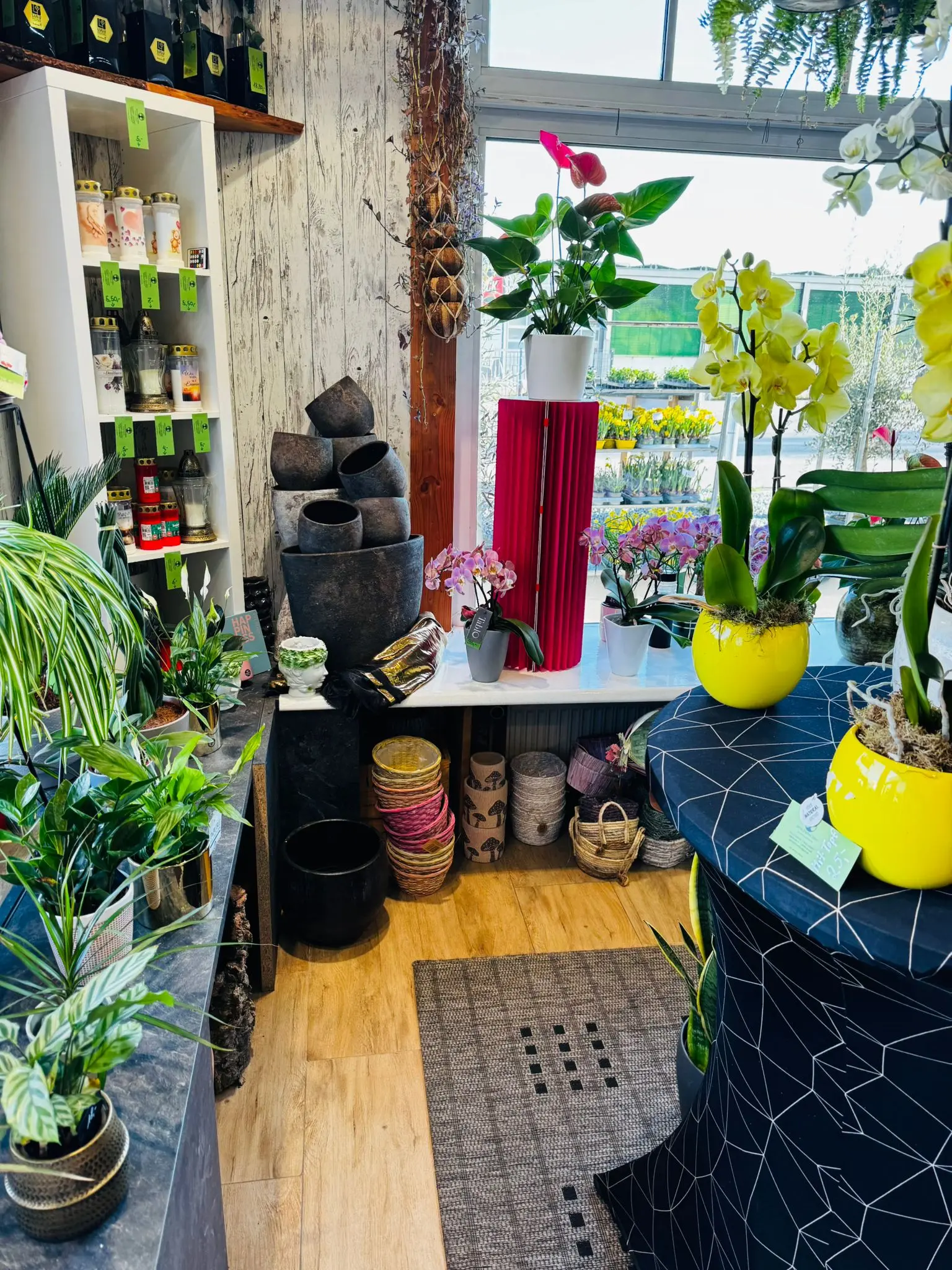 blumenladen-augsburg-neusaess-12