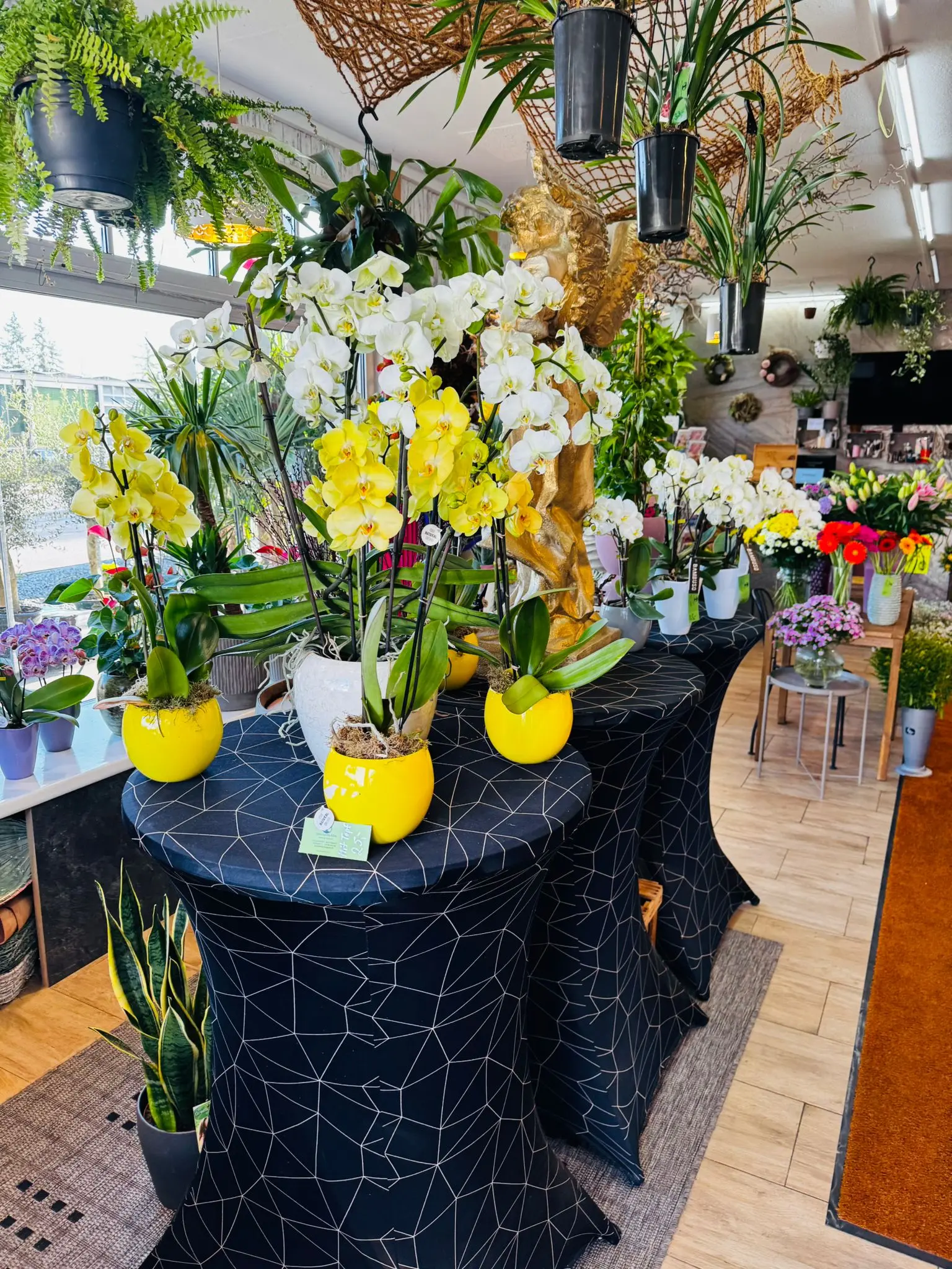 blumenladen-augsburg-neusaess-15