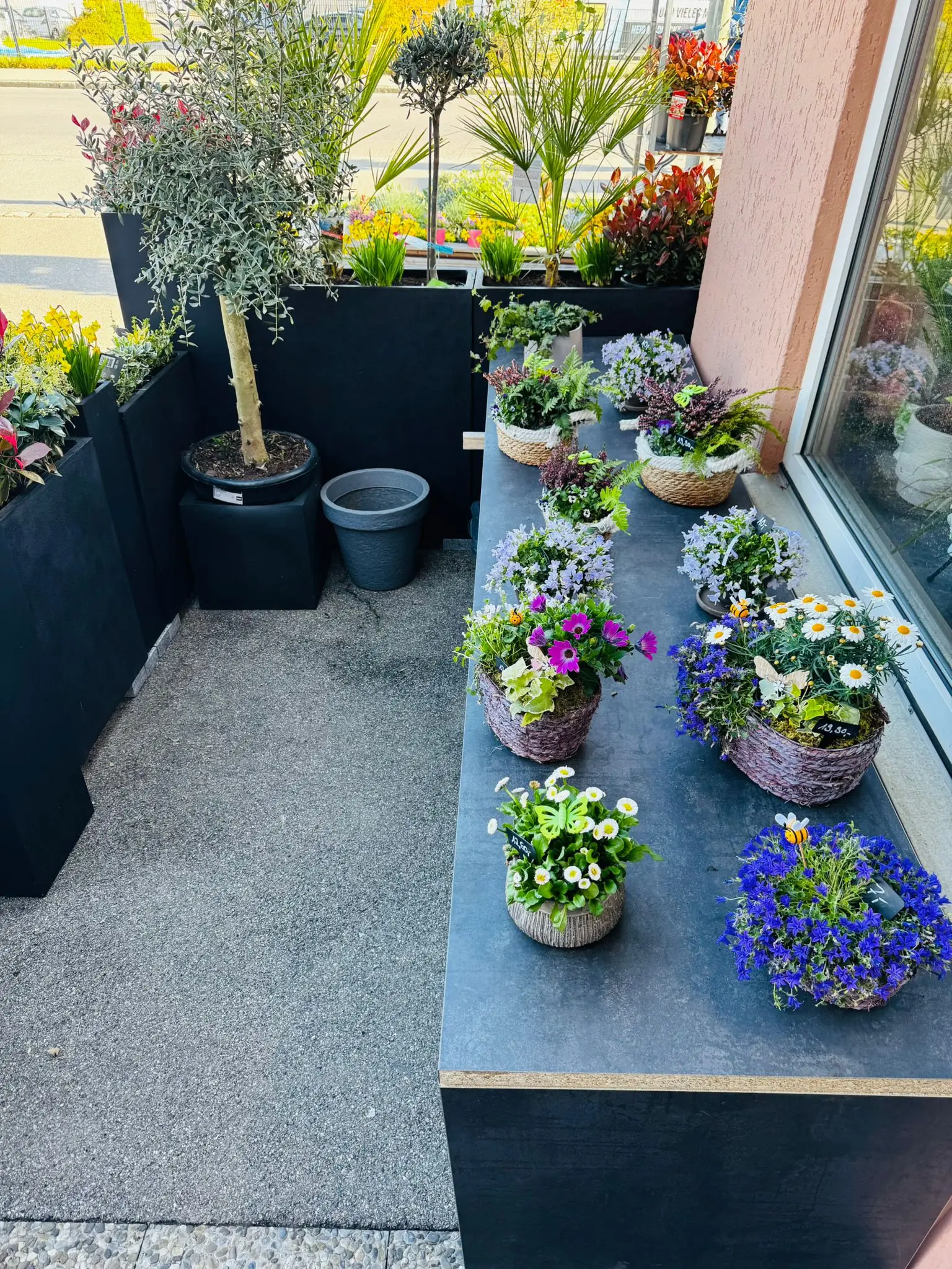 blumenladen-augsburg-neusaess-16