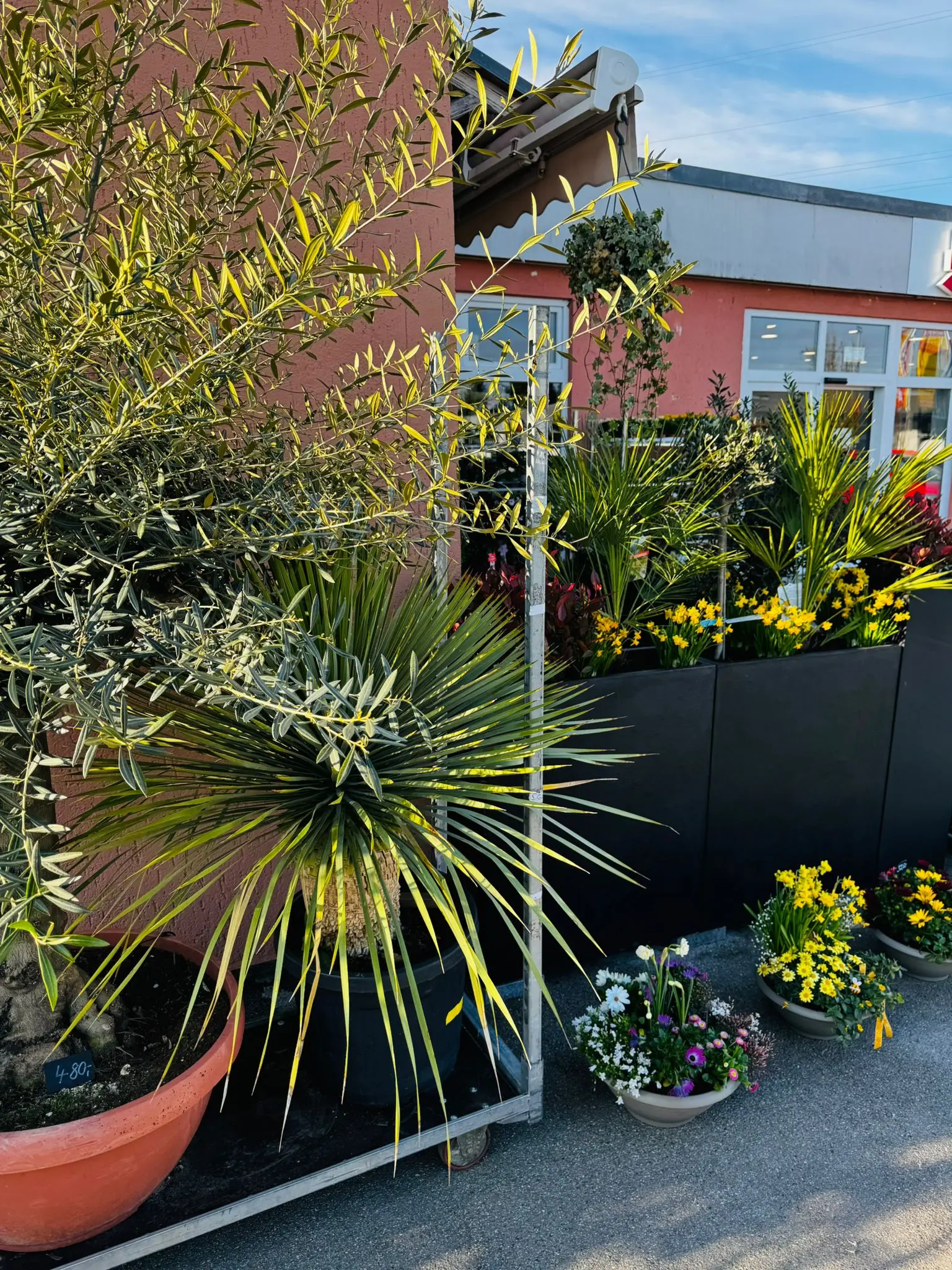 blumenladen-augsburg-neusaess-17