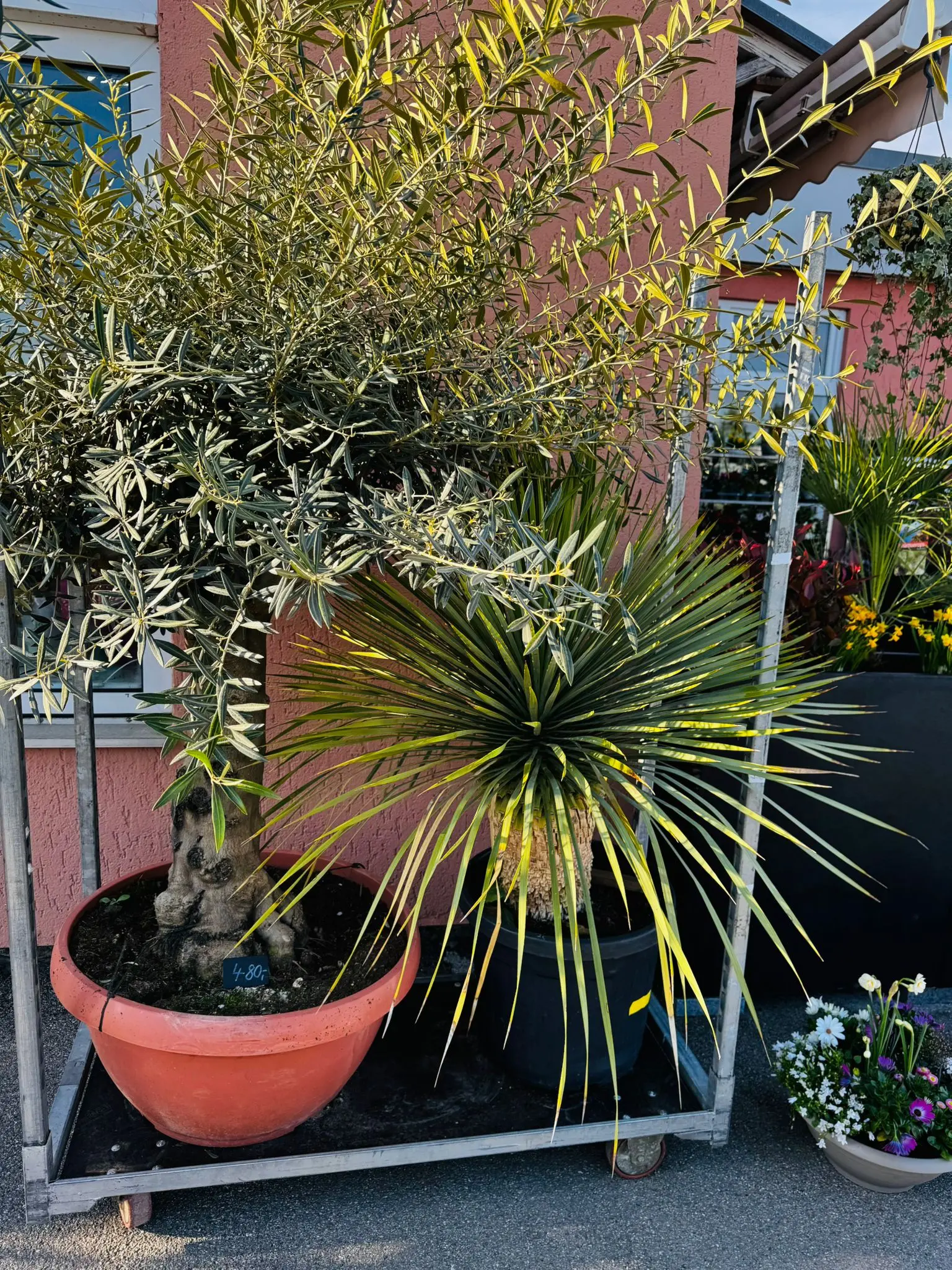 blumenladen-augsburg-neusaess-19