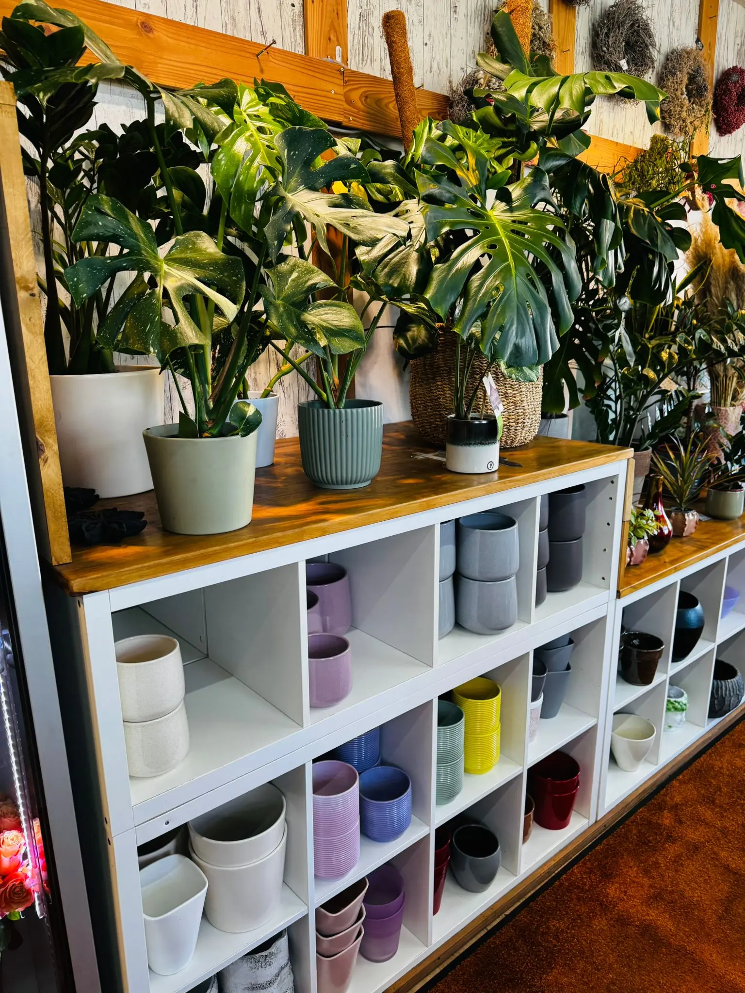 blumenladen-augsburg-neusaess-2
