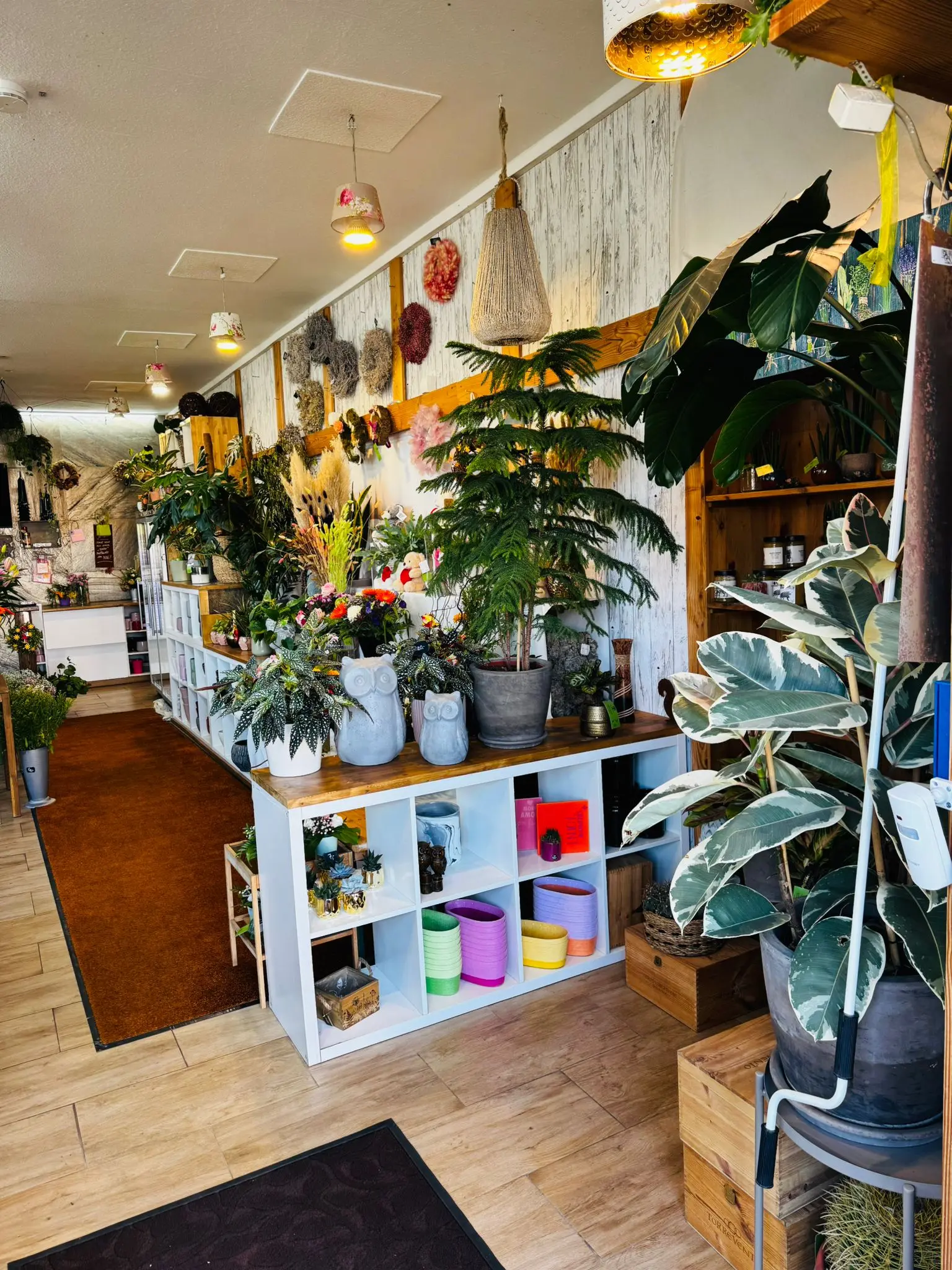 blumenladen-augsburg-neusaess-25
