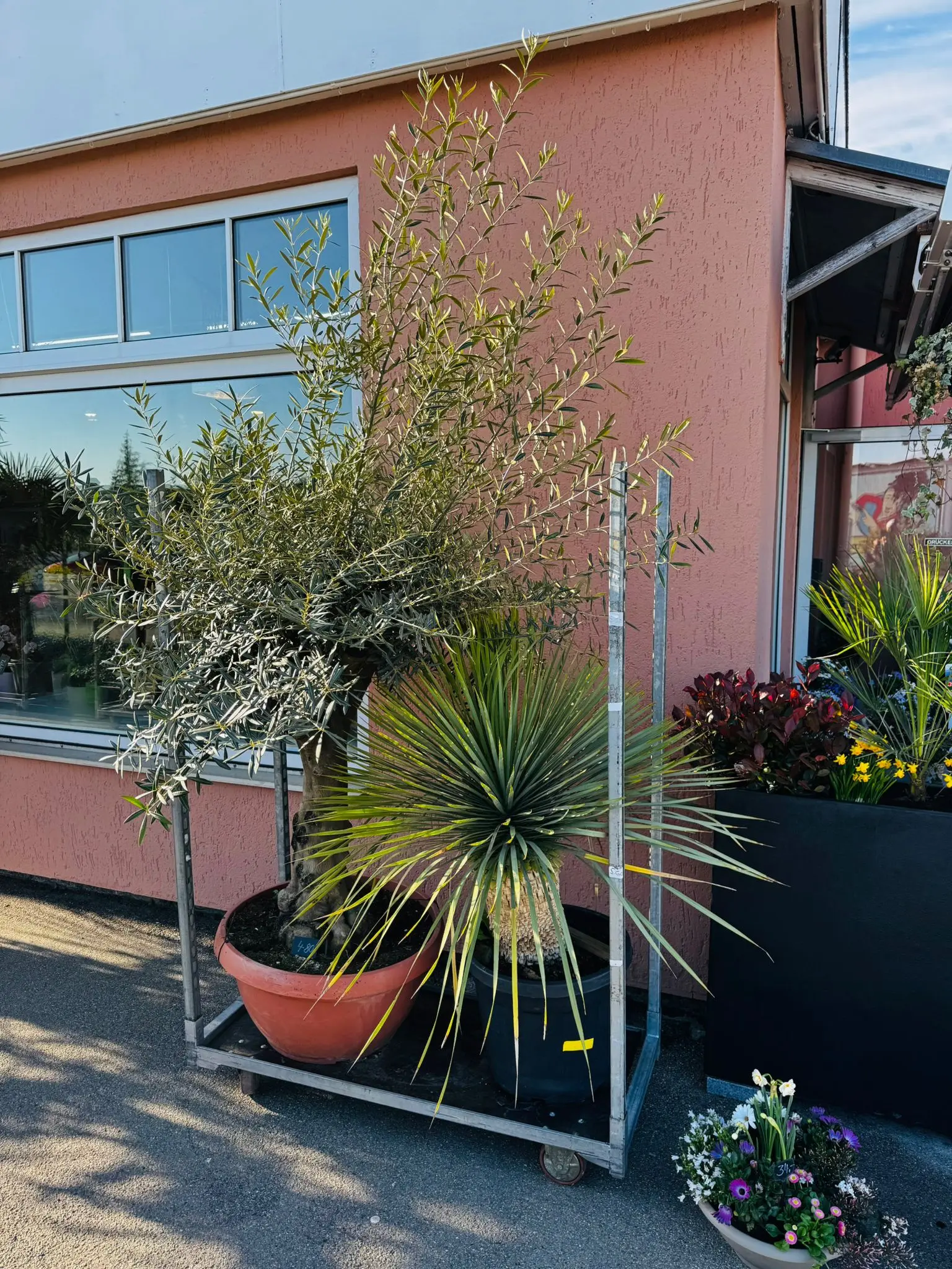 blumenladen-augsburg-neusaess-27