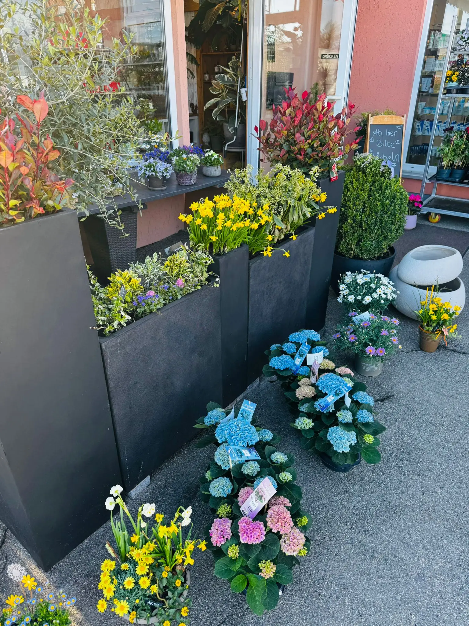 blumenladen-augsburg-neusaess-28