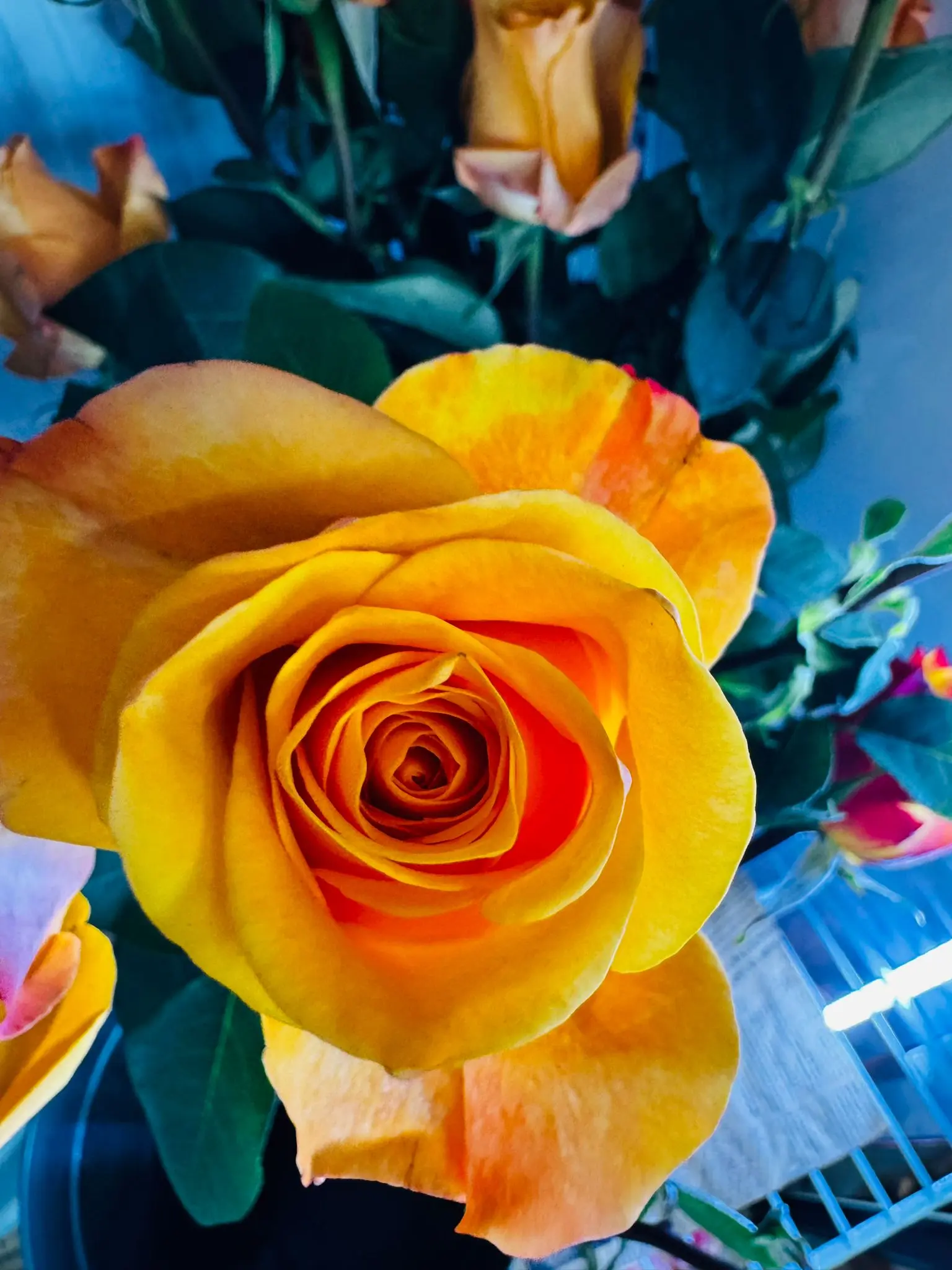 blumenladen-augsburg-neusaess-3