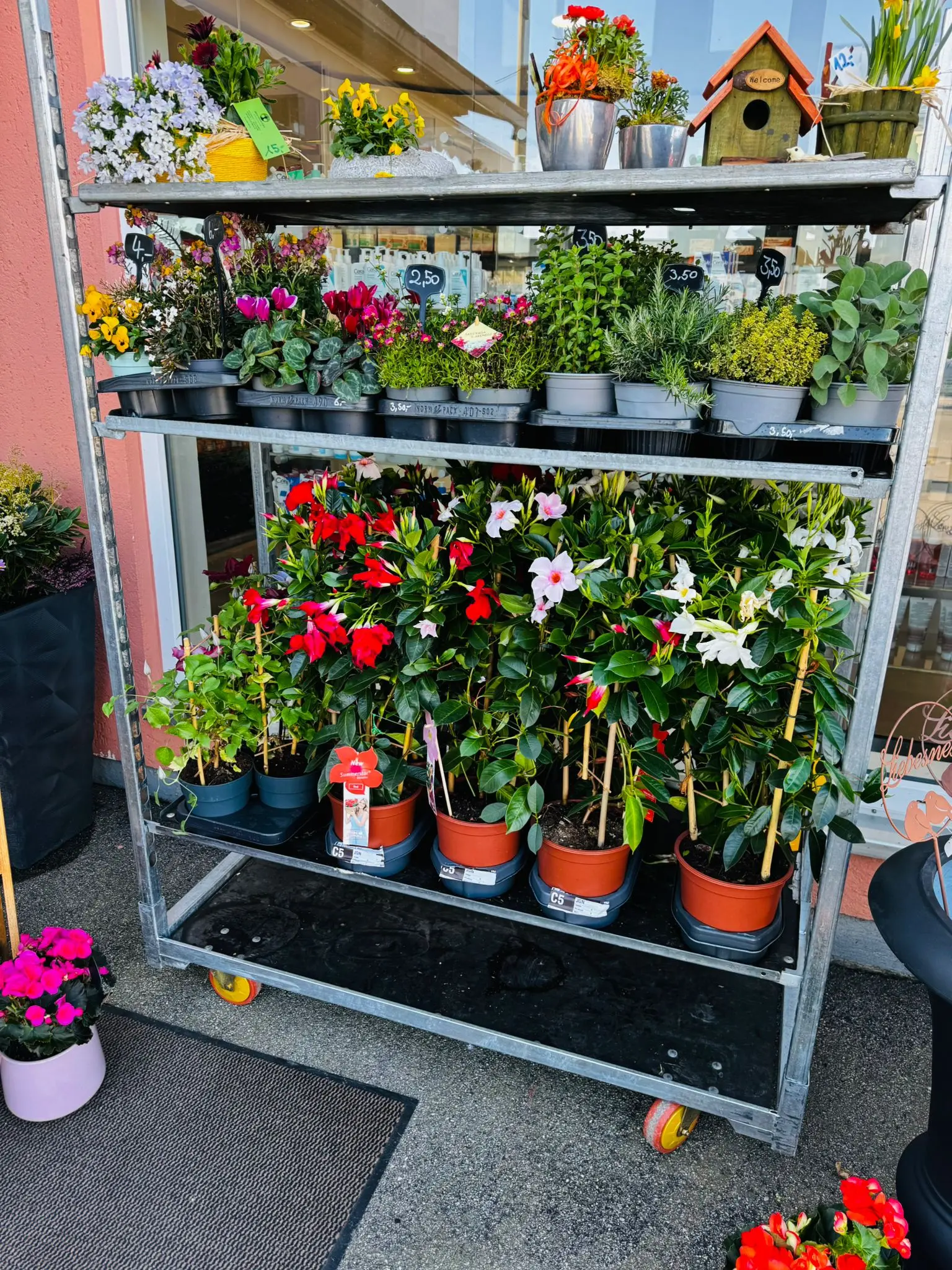 blumenladen-augsburg-neusaess-30