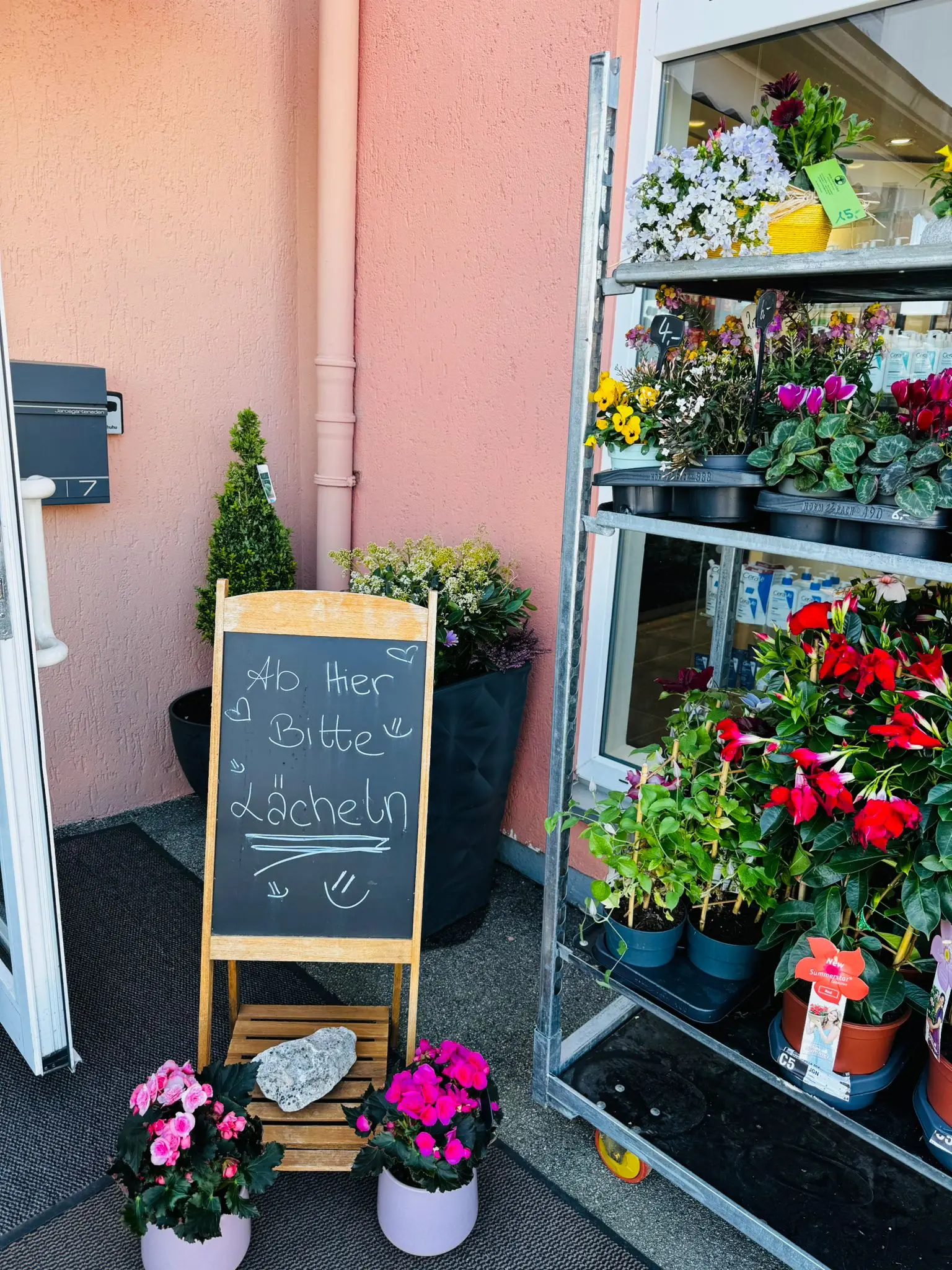 blumenladen-augsburg-neusaess-31