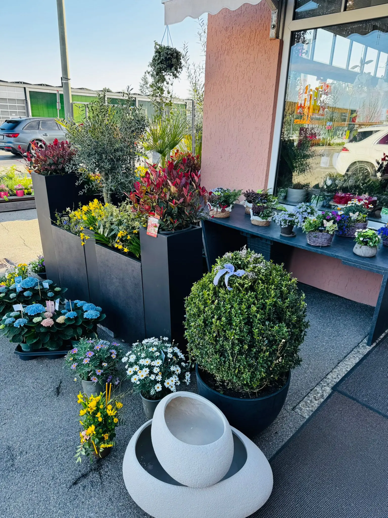 blumenladen-augsburg-neusaess-32