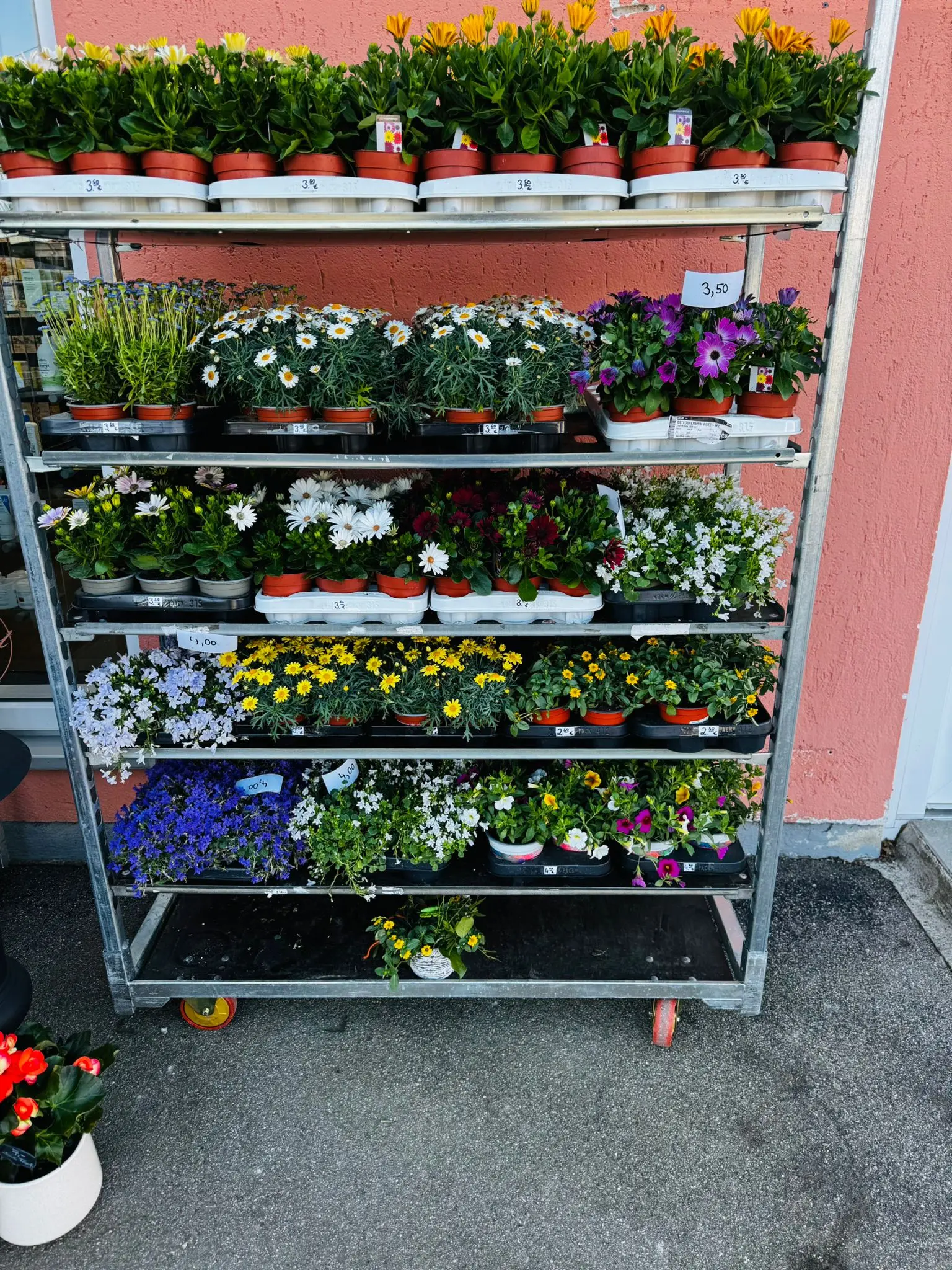 blumenladen-augsburg-neusaess-34