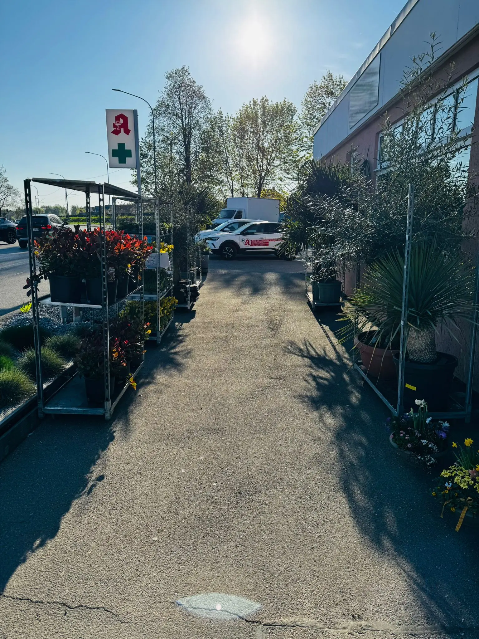 blumenladen-augsburg-neusaess-35