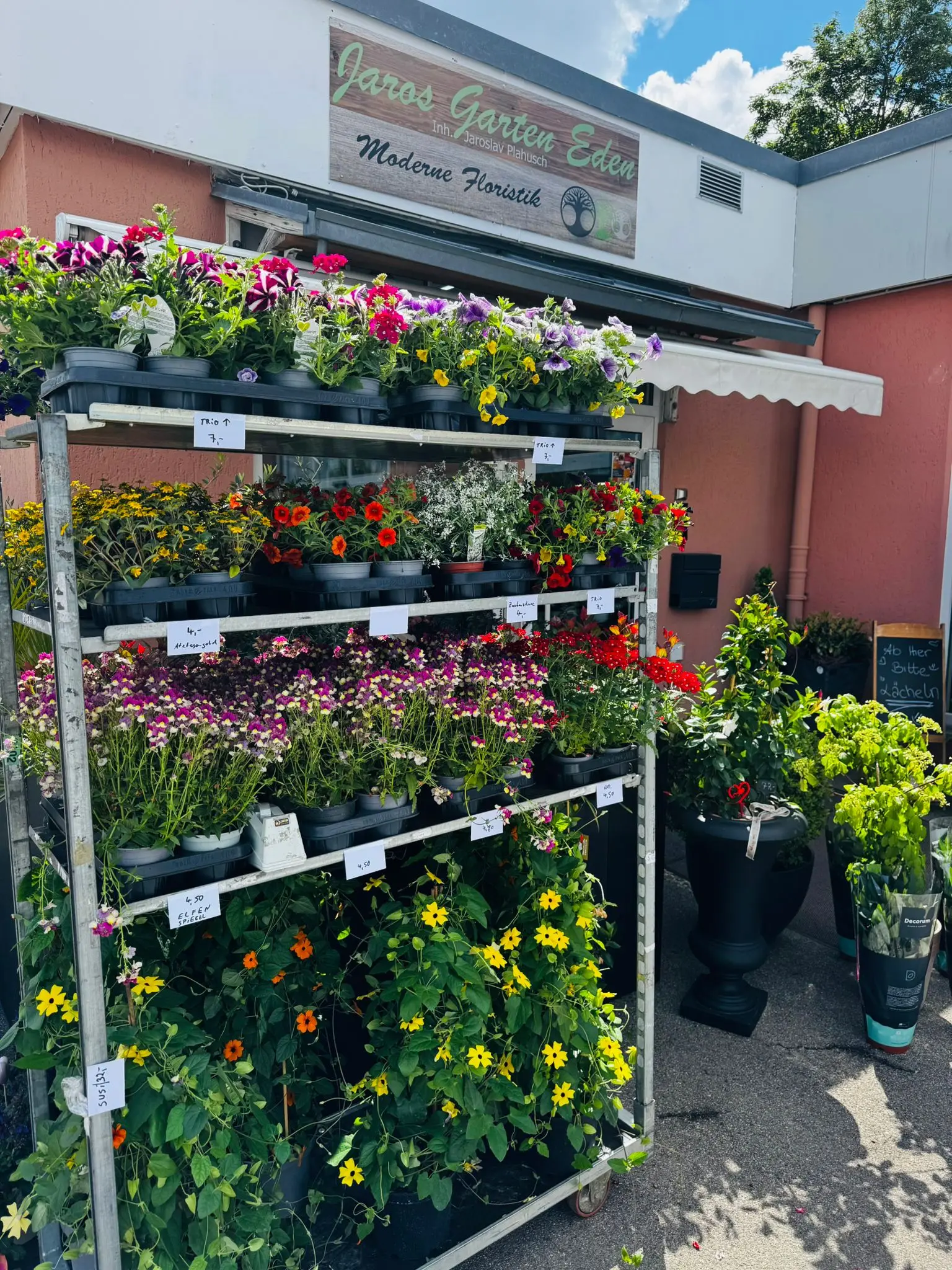 blumenladen-augsburg-neusaess-38
