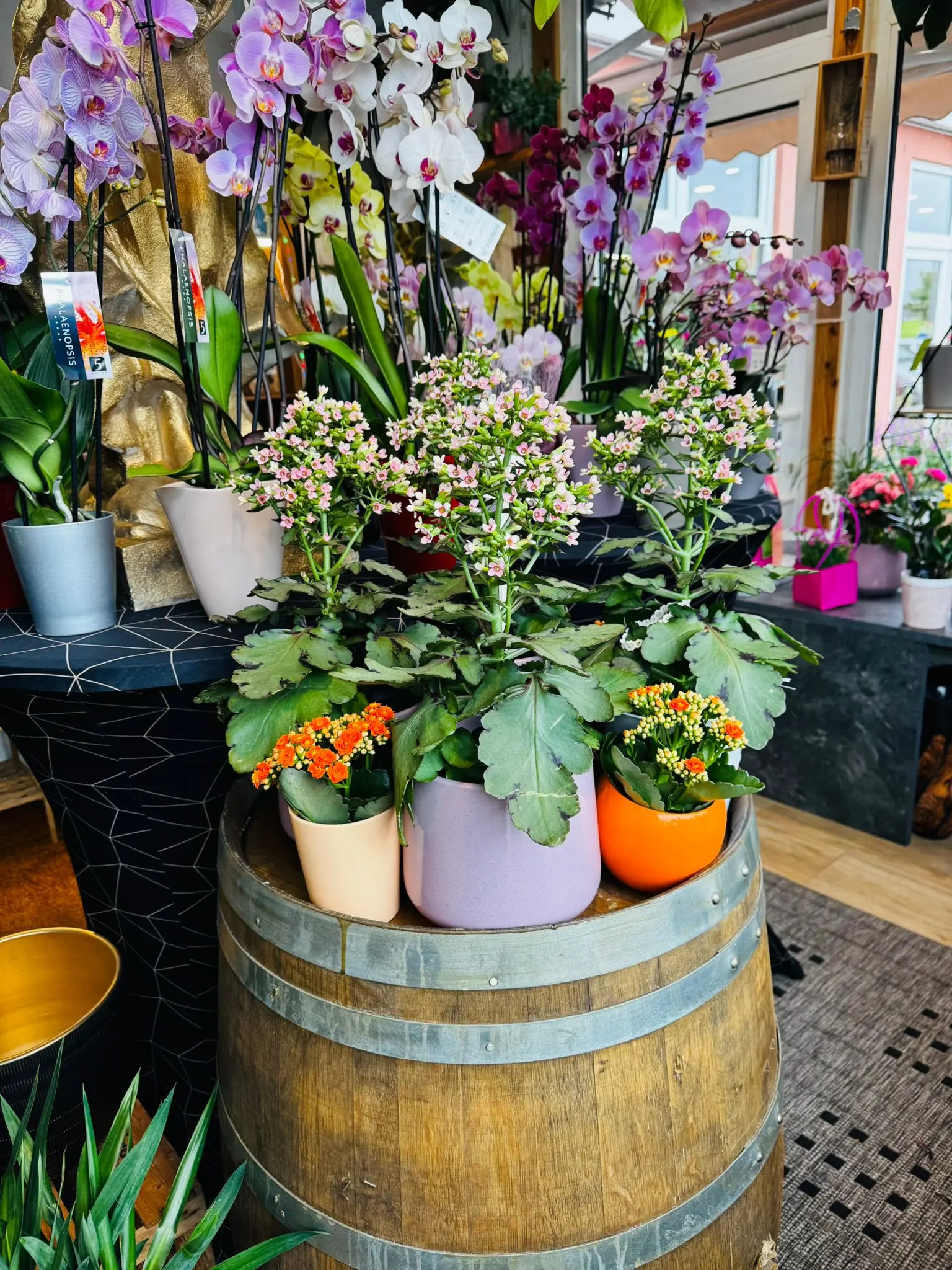blumenladen-augsburg-neusaess-39
