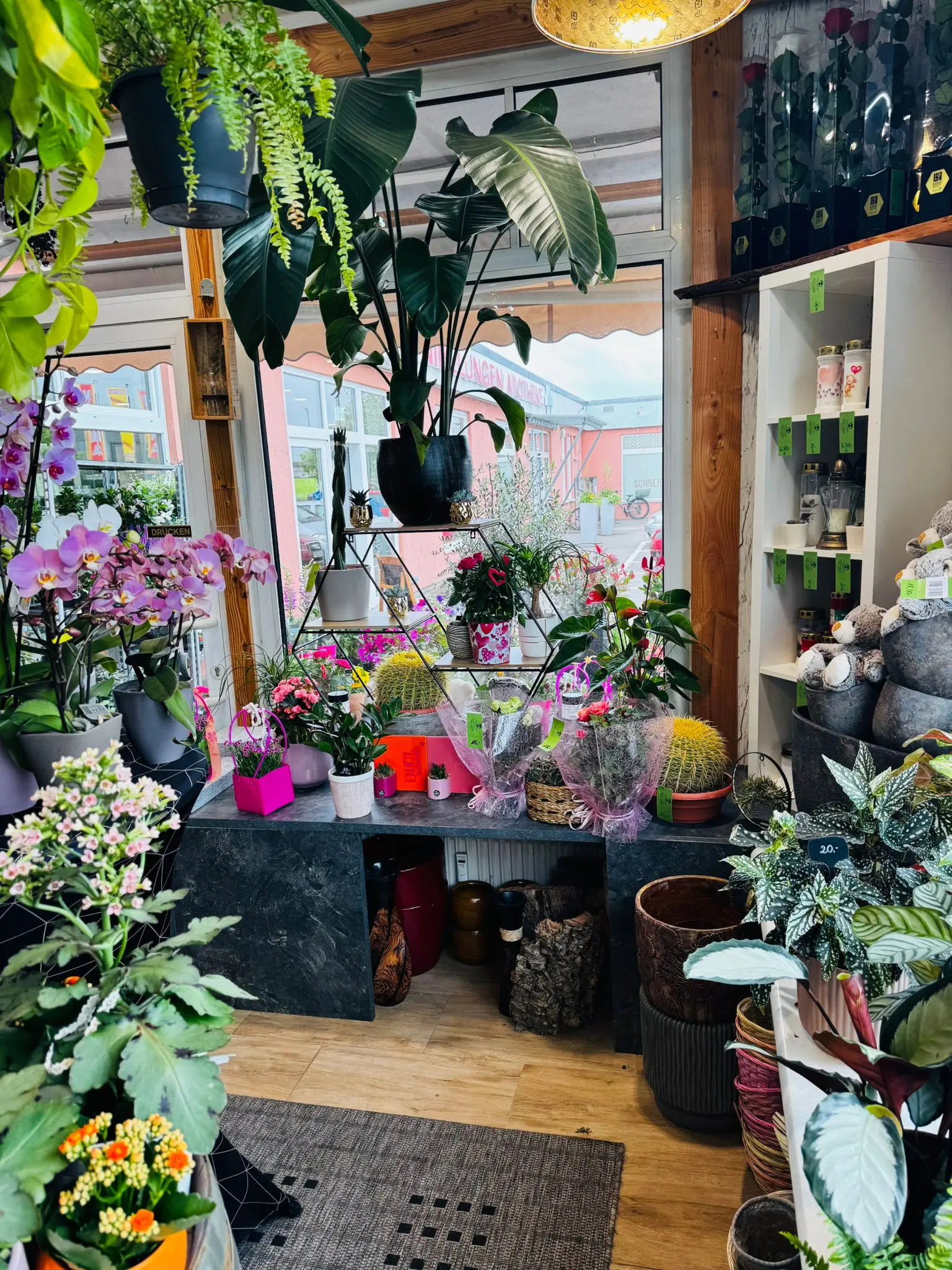 blumenladen-augsburg-neusaess-40