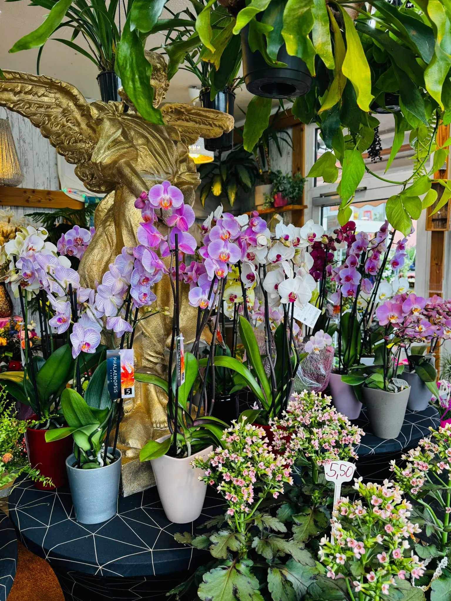 blumenladen-augsburg-neusaess-41