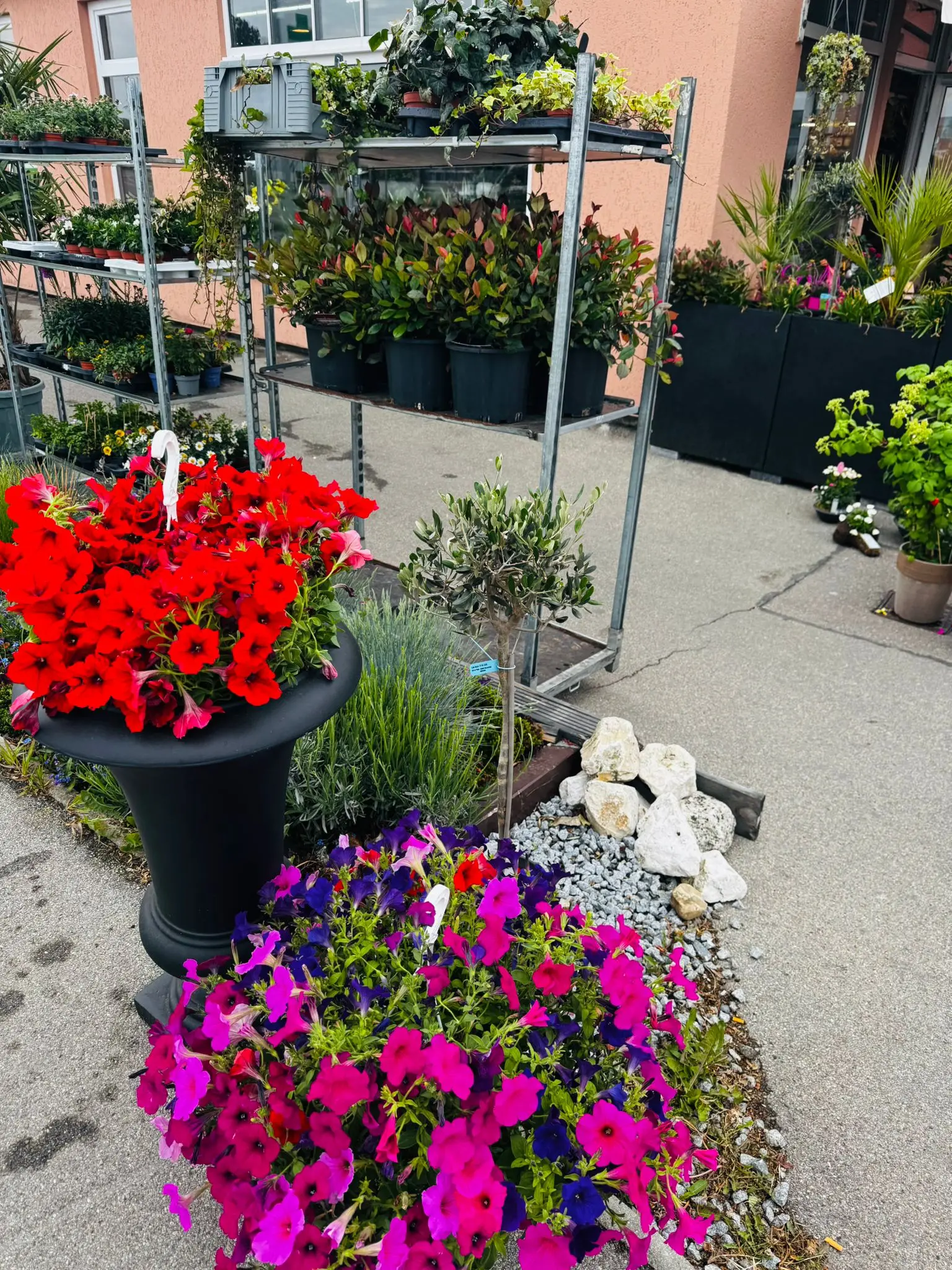 blumenladen-augsburg-neusaess-43