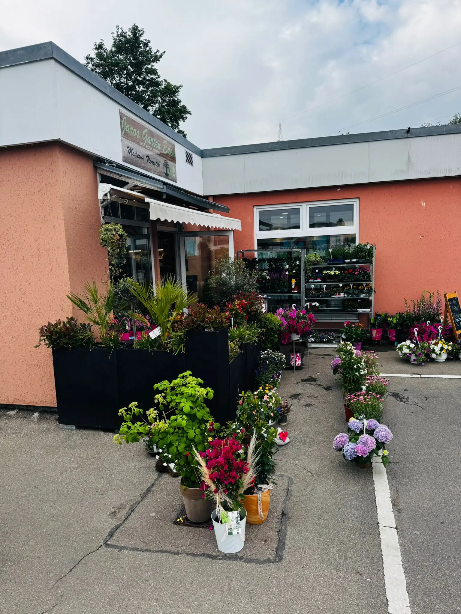 blumenladen-augsburg-neusaess-44
