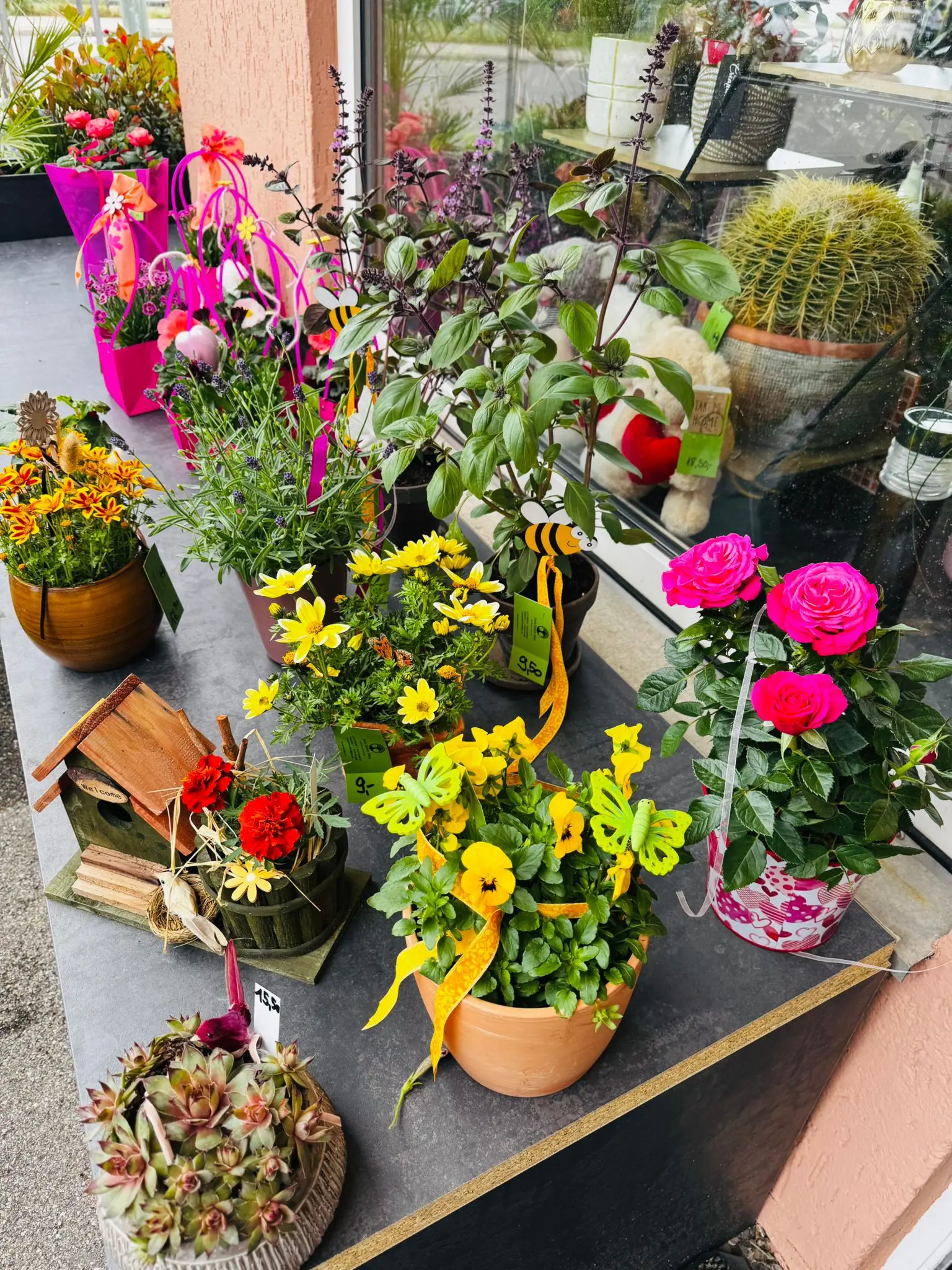 blumenladen-augsburg-neusaess-45