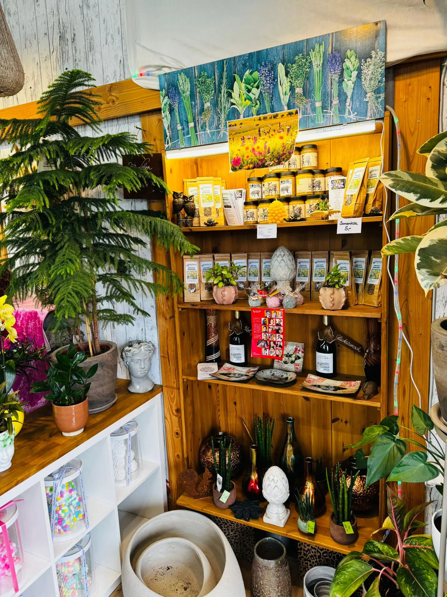 blumenladen-augsburg-neusaess-46