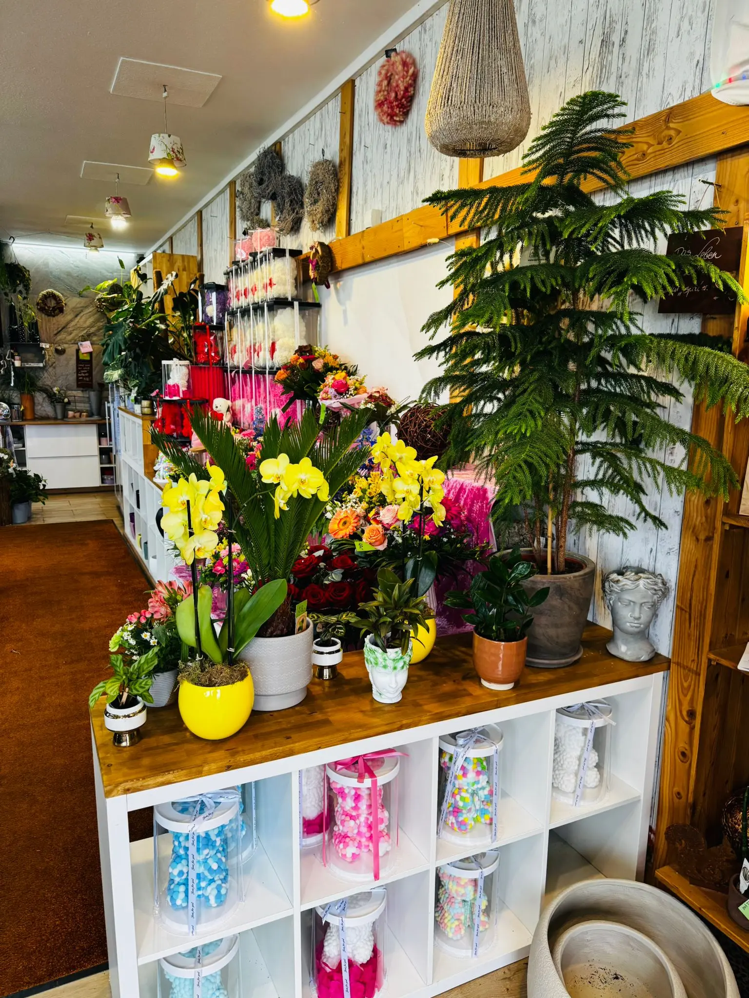 blumenladen-augsburg-neusaess-47