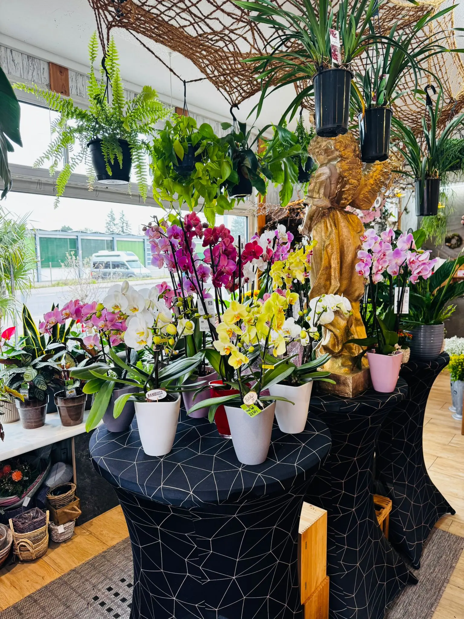 blumenladen-augsburg-neusaess-48