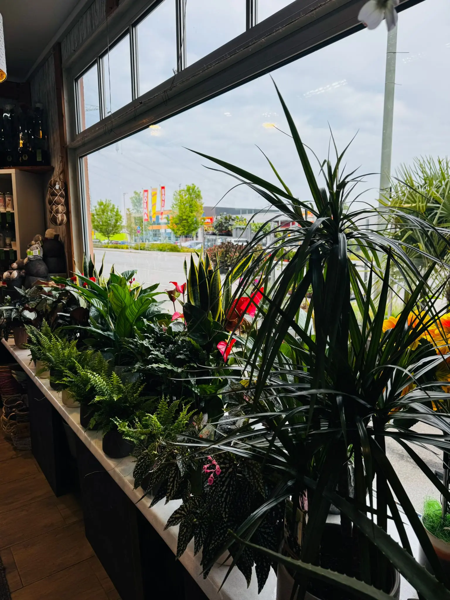 blumenladen-augsburg-neusaess-53