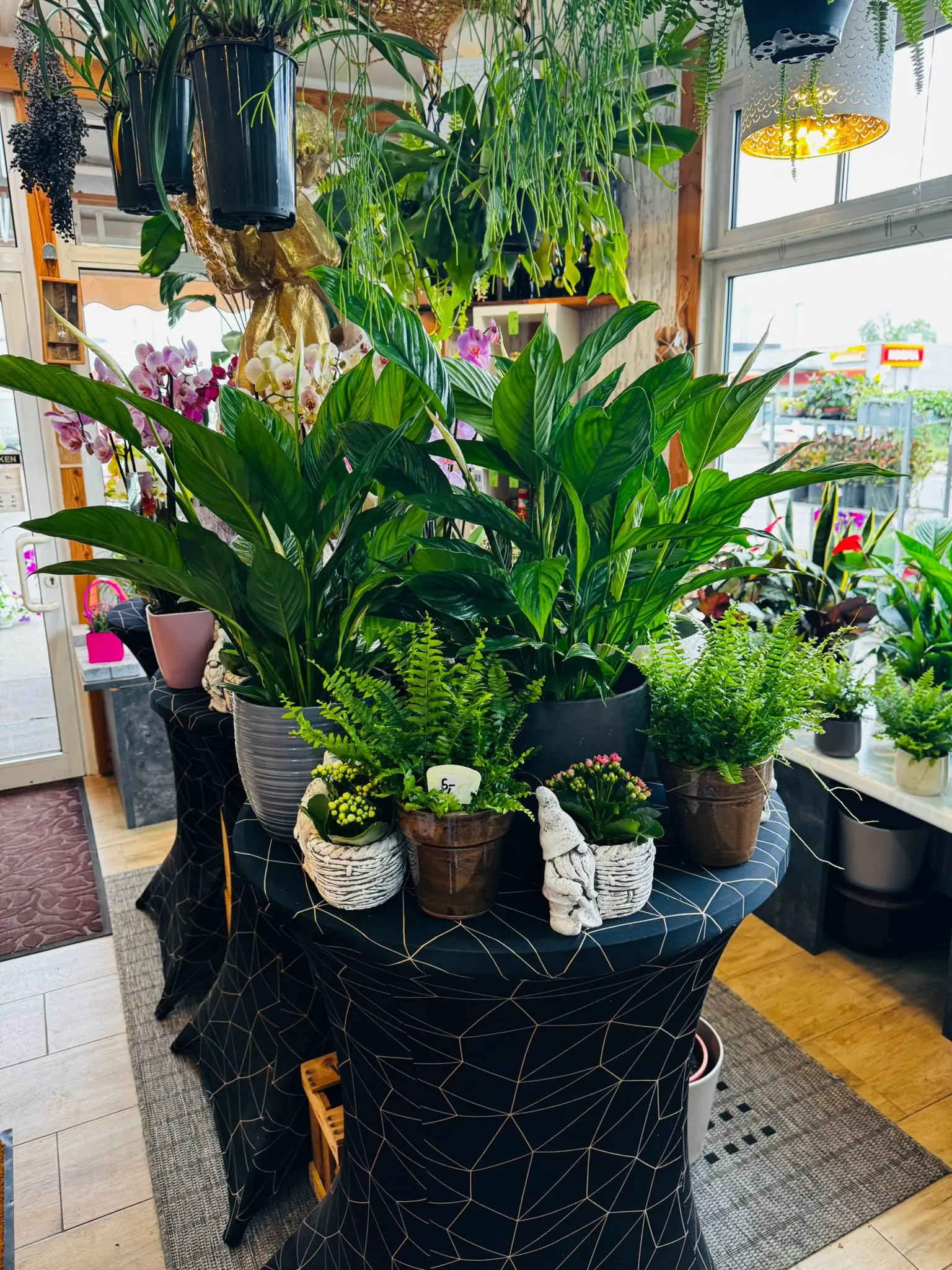 blumenladen-augsburg-neusaess-54