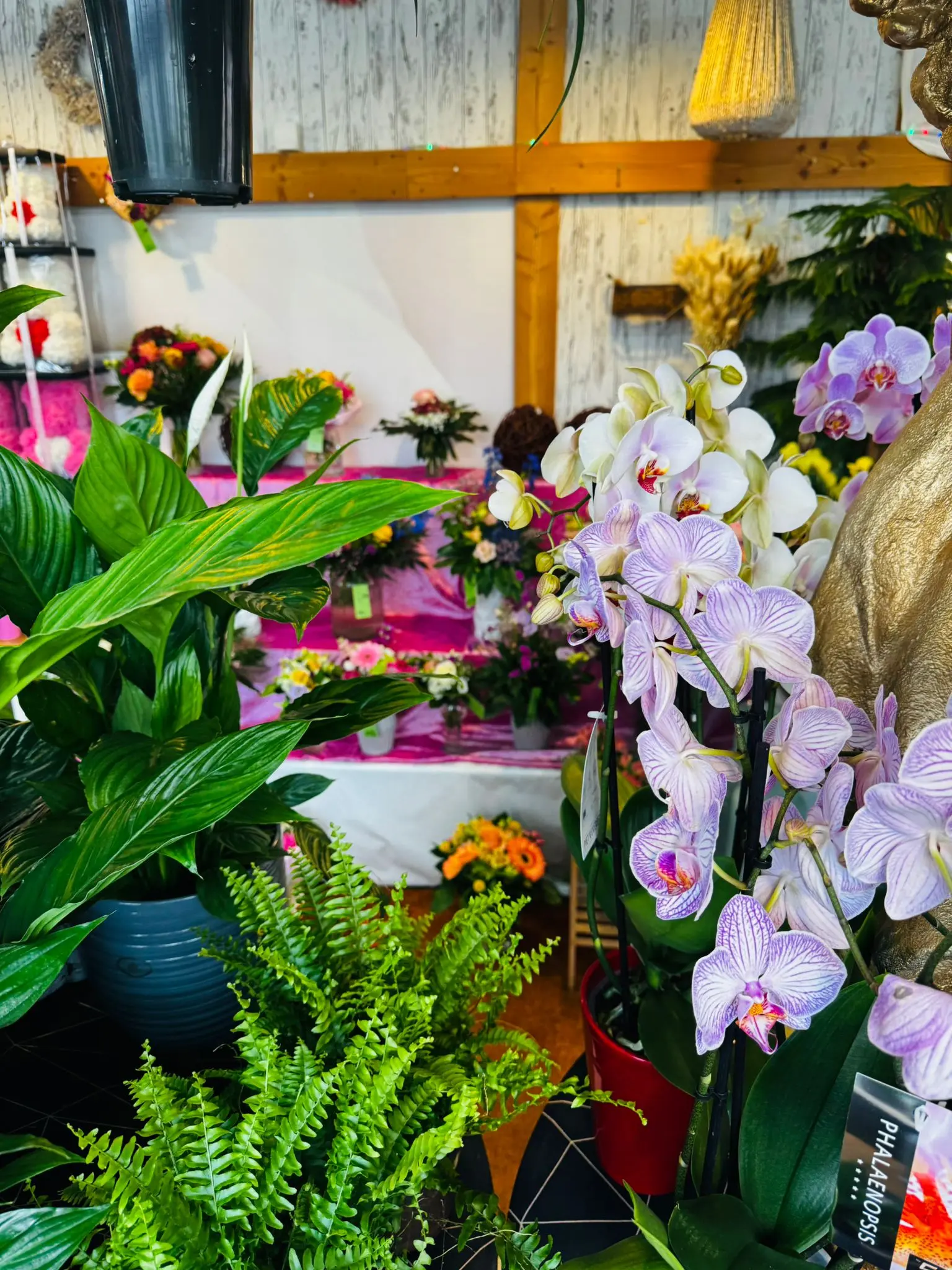 blumenladen-augsburg-neusaess-55