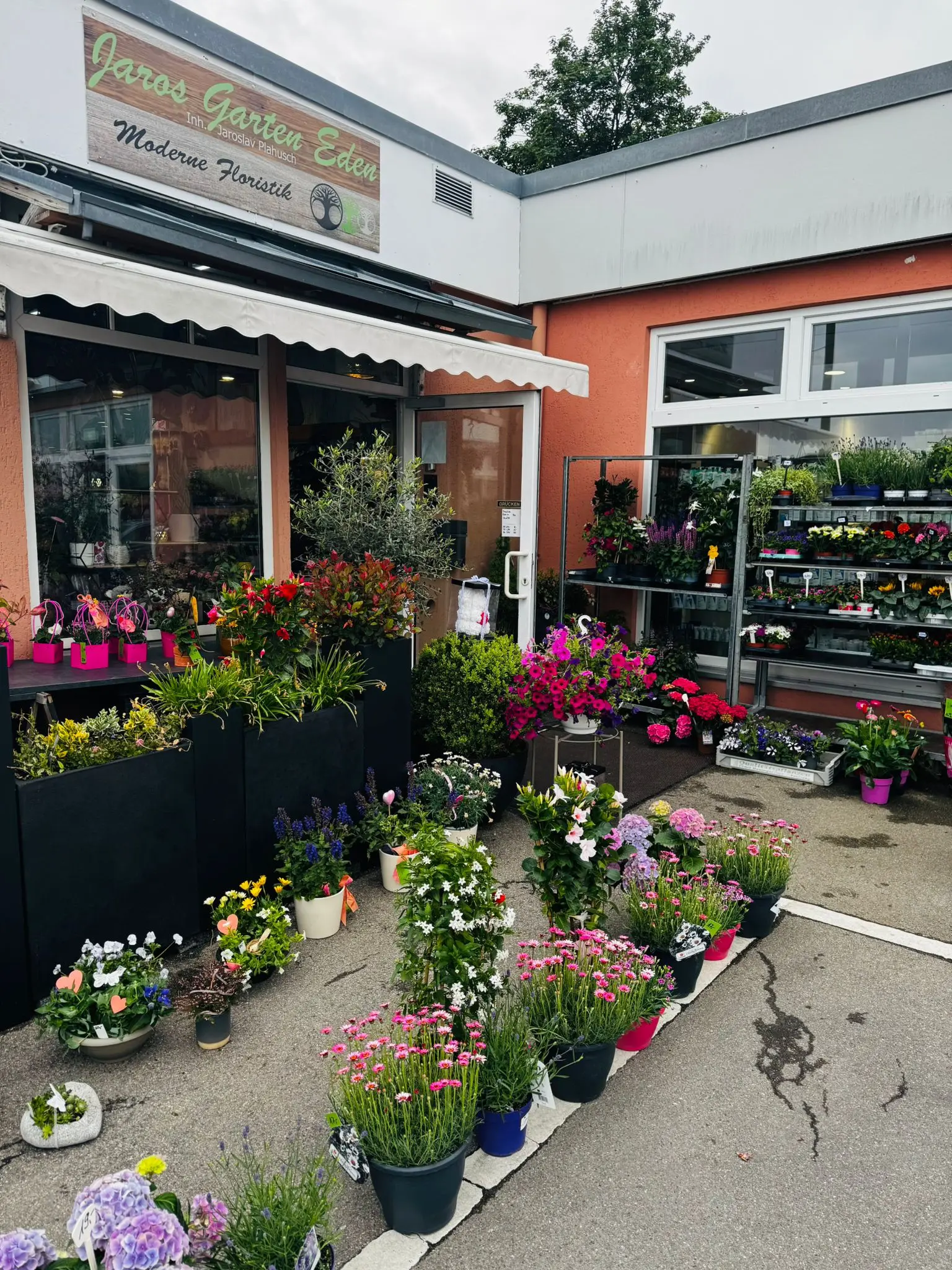 blumenladen-augsburg-neusaess-57