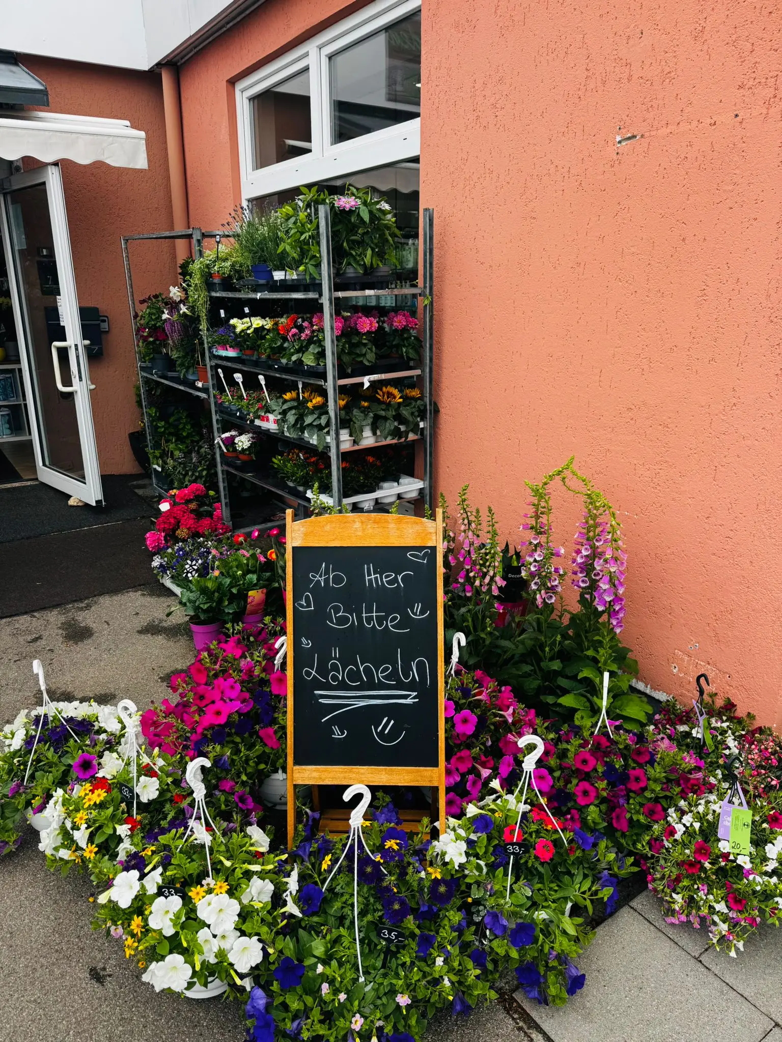 blumenladen-augsburg-neusaess-60