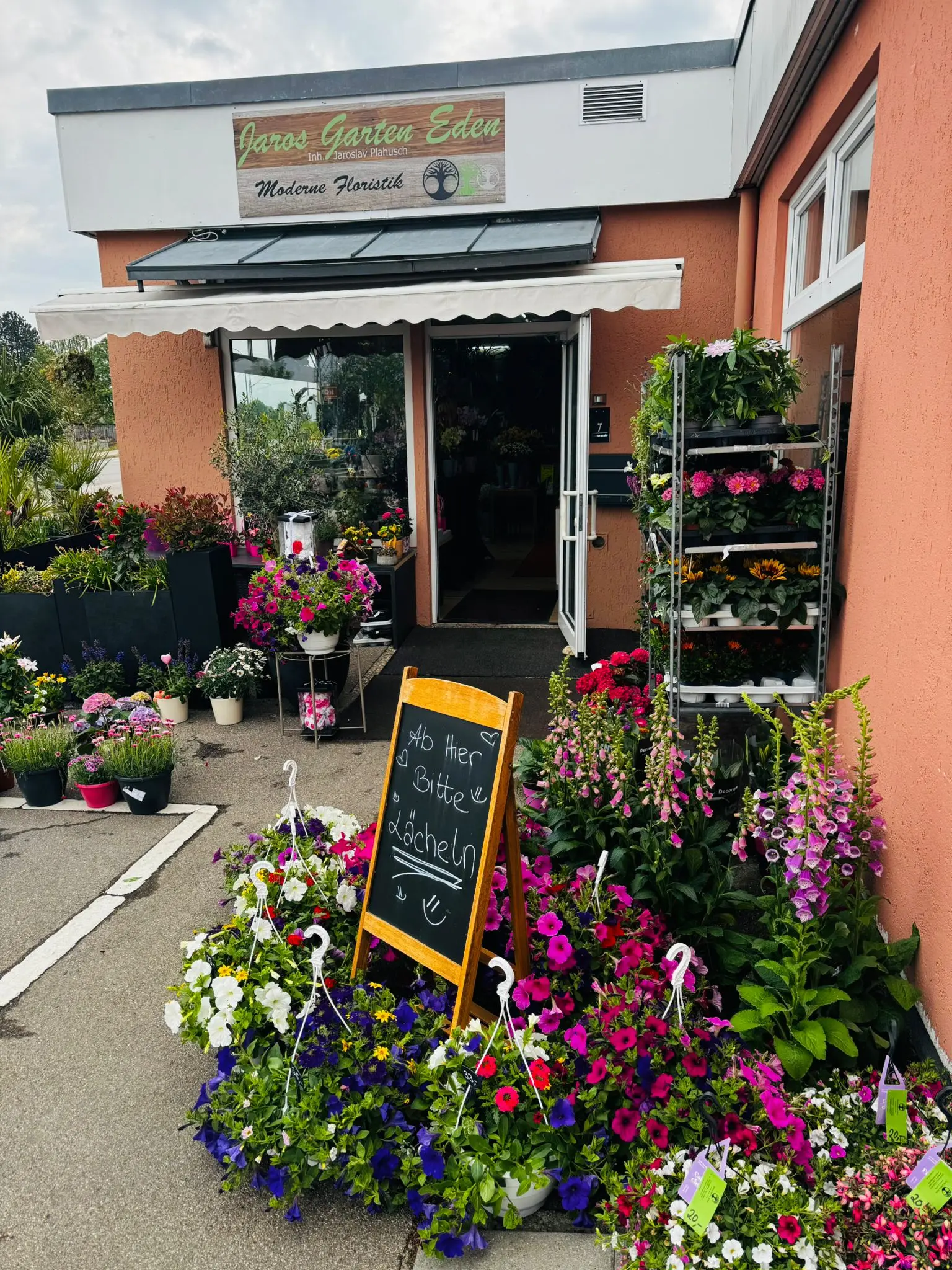 blumenladen-augsburg-neusaess-61