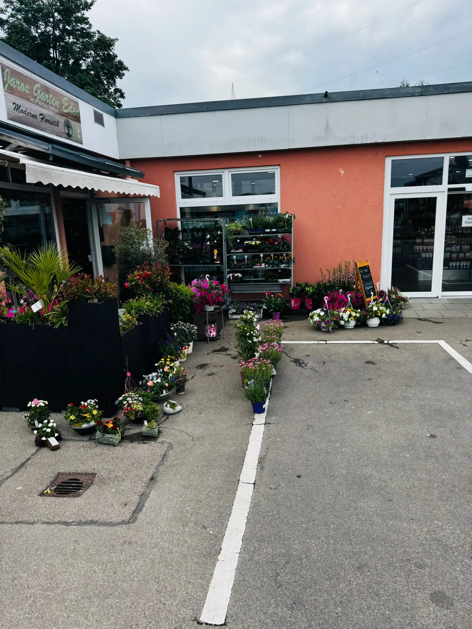 blumenladen-augsburg-neusaess-62