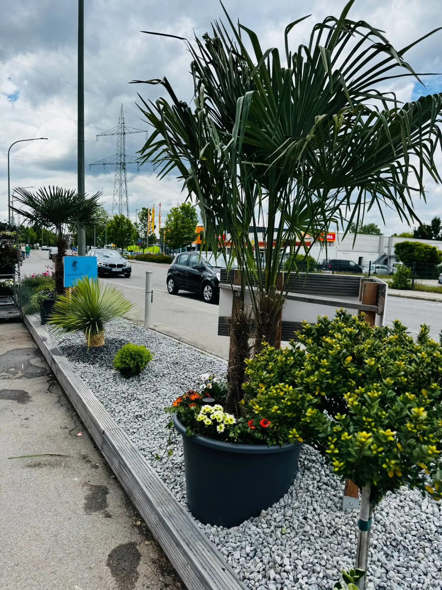 blumenladen-augsburg-neusaess-66
