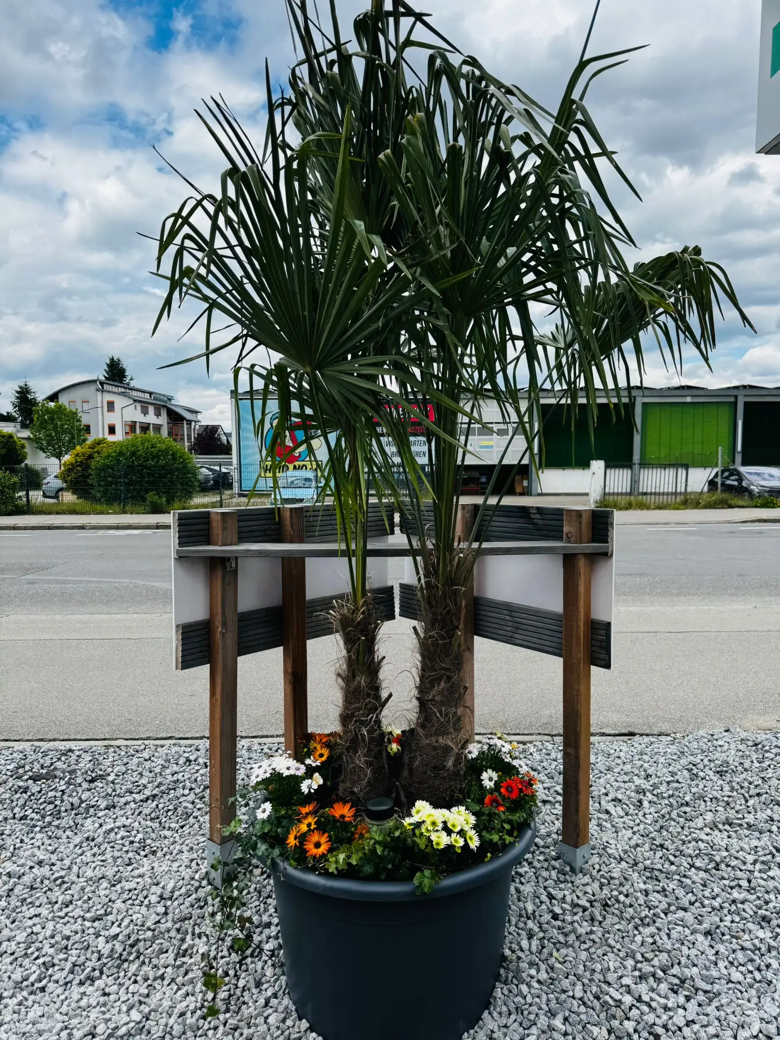 blumenladen-augsburg-neusaess-68